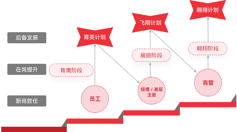 jinnianhui官网金年会 "雄鹰计划"人才梯队培养